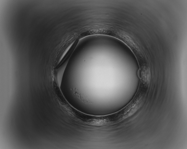 X0000097800458200803201401