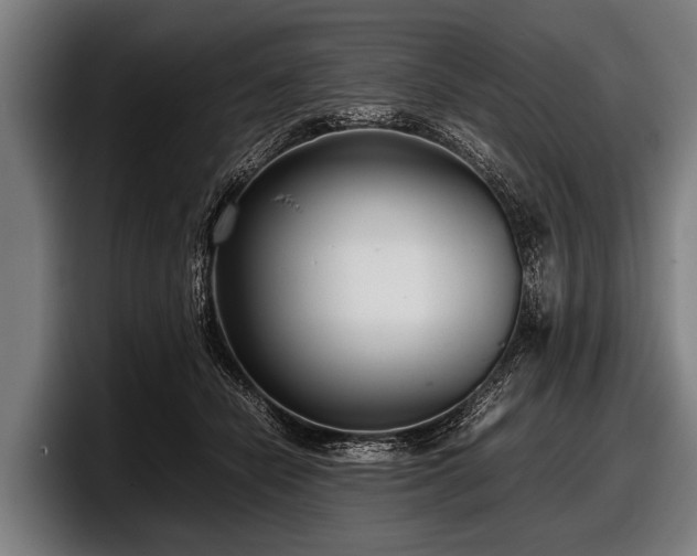 X0000097800462200803201401