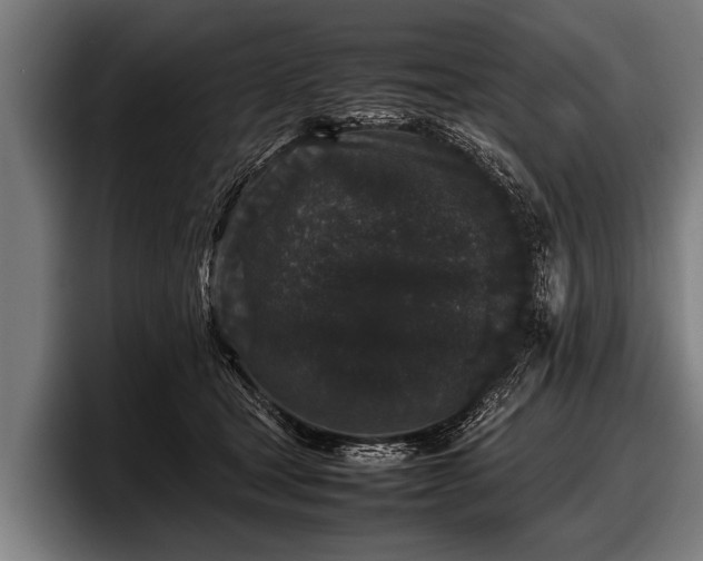 X0000097800465200803201401