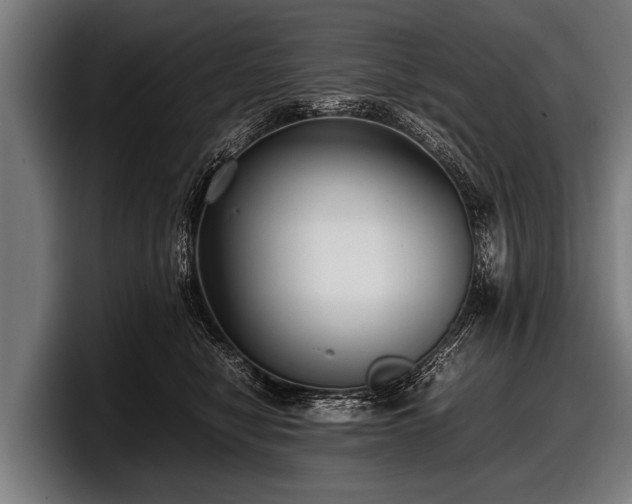 X0000097800470200803201401