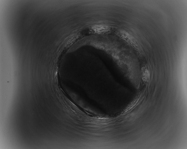 X0000097800471200803201401