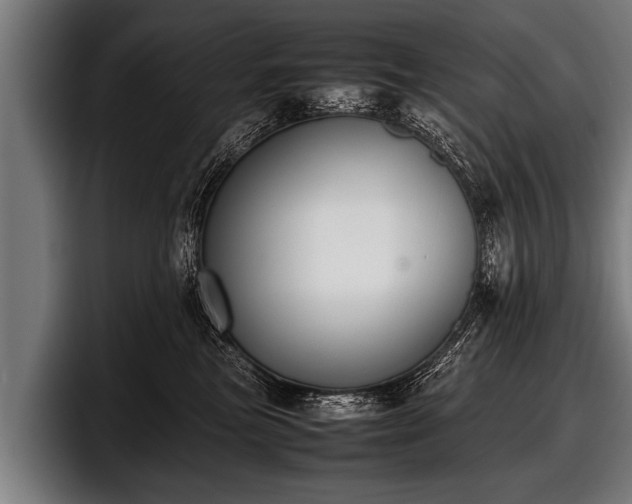 X0000097800473200803201401