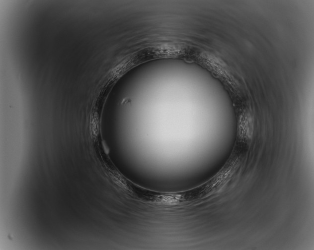 X0000097800474200803201401