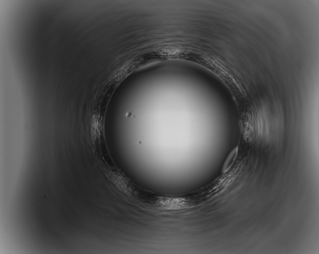 X0000097800476200803201401