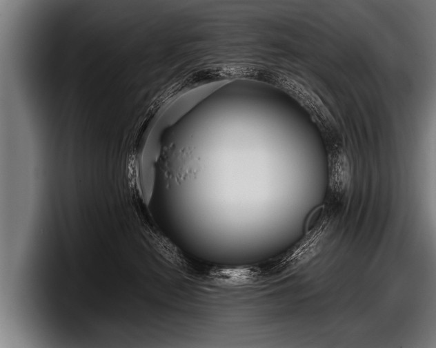 X0000097800478200803201401