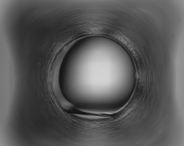 X0000097800481200803201400