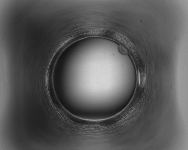 X0000097800483200803201400