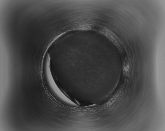 X0000097800484200803201400