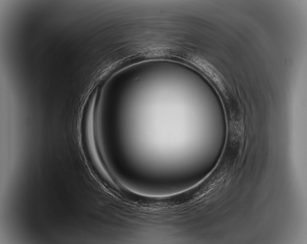 X0000097800485200803201400