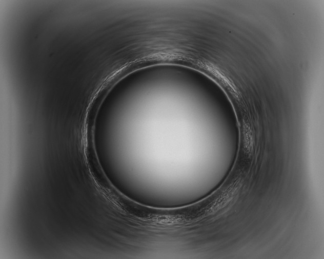 X0000097800486200803201400