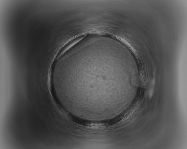 X0000097800487200803201400