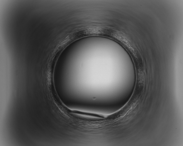 X0000097800489200803201400