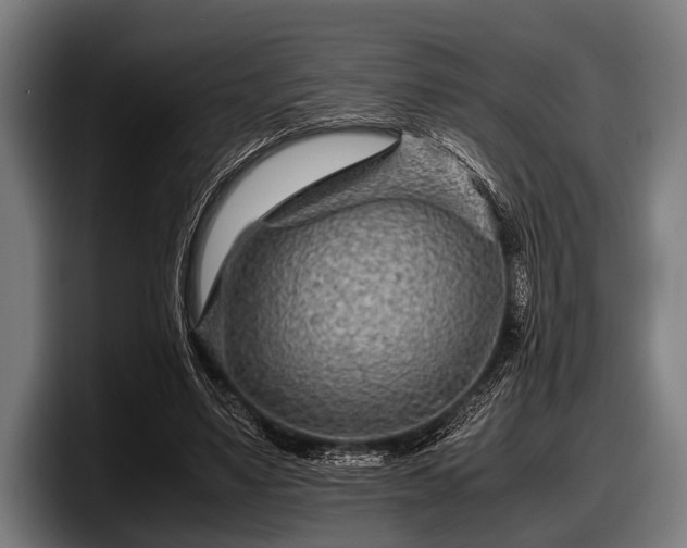 X0000097800491200803201400