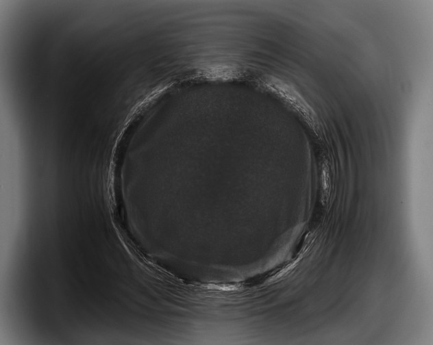 X0000097800492200803201400