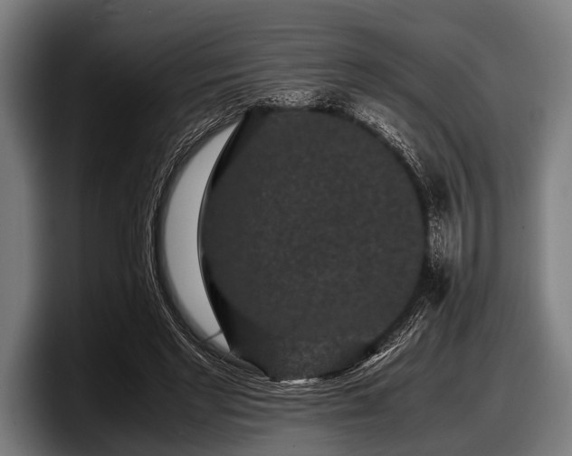 X0000097800493200803201400