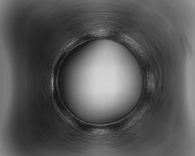 X0000097800494200803201400