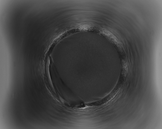 X0000097800496200803201400