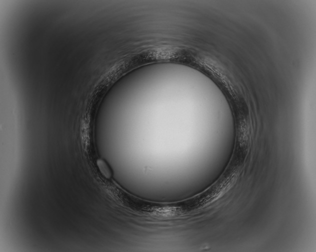 X0000097800497200803201400