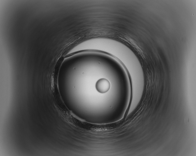 X0000097800500200803201400