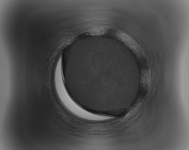 X0000097800501200803201400