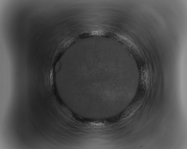 X0000097800502200803201400