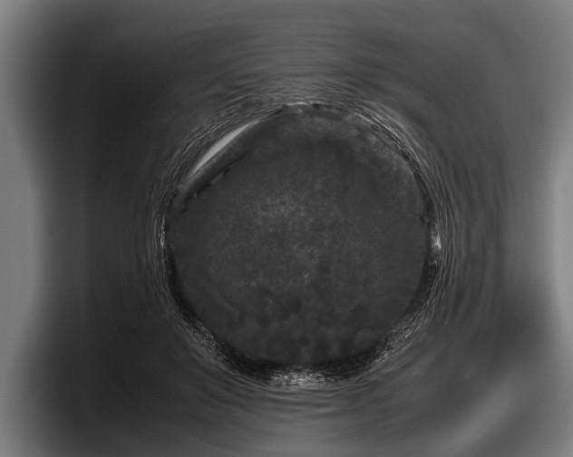 X0000097800503200803201400