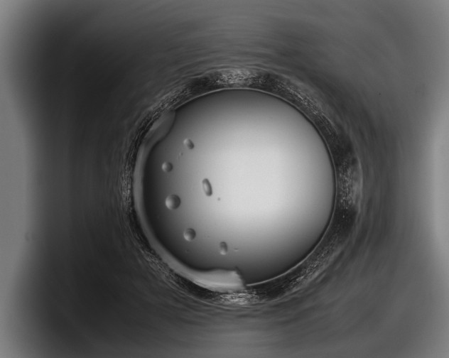 X0000097800505200803201400