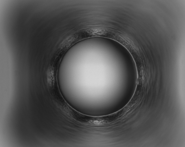 X0000097800506200803201400