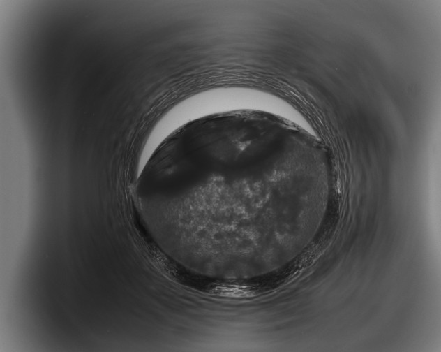 X0000097800507200803201400