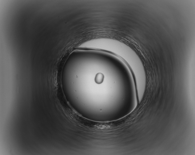 X0000097800512200803201400