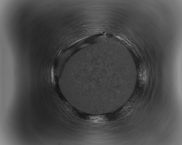 X0000097800516200803201400