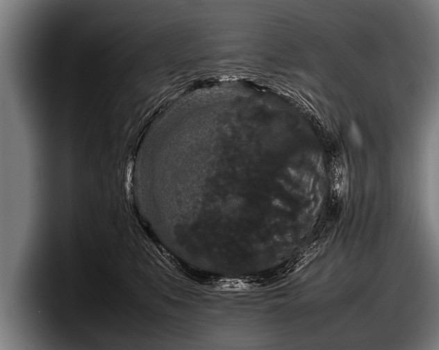 X0000097800519200803201400