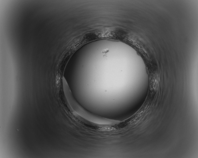 X0000097800521200803201400