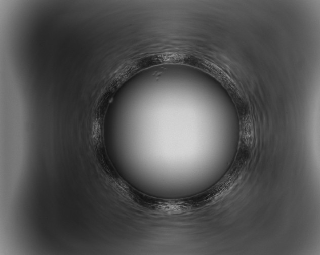 X0000097800523200803201400