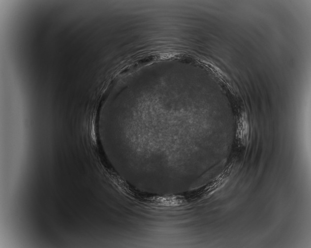 X0000097800524200803201400