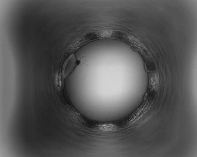 X0000097800525200803201400