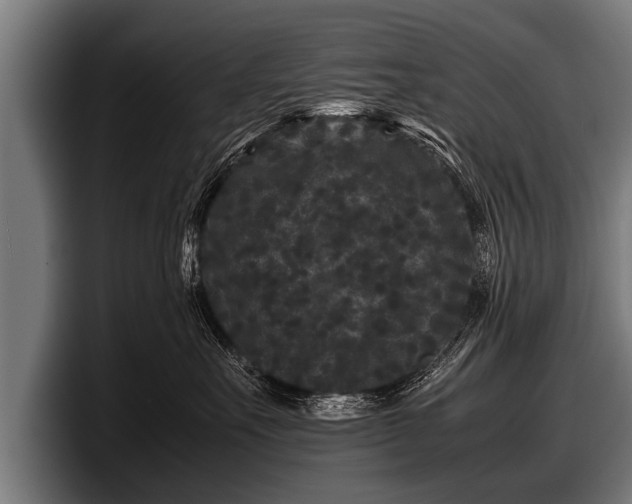 X0000097800527200803201400