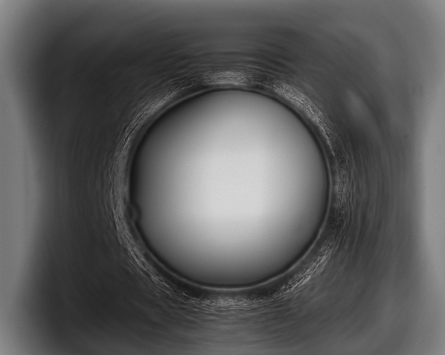 X0000097800529200803201359