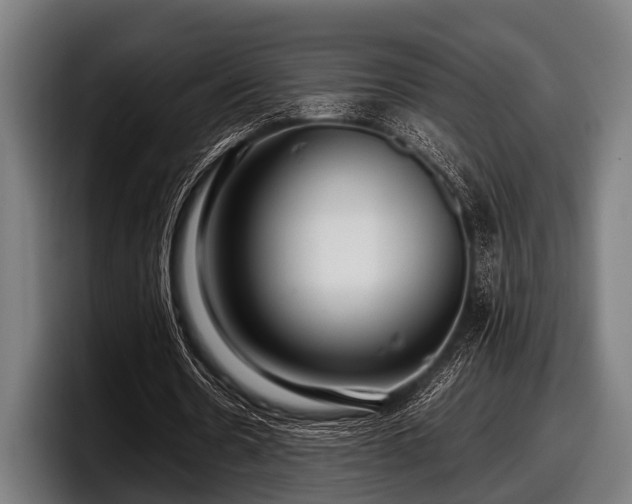 X0000097800530200803201359