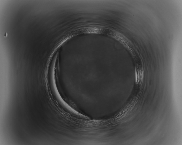 X0000097800531200803201359