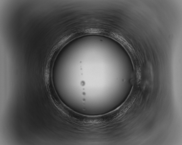 X0000097800533200803201359