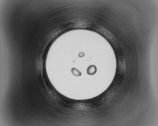 X0000097800534200803201359