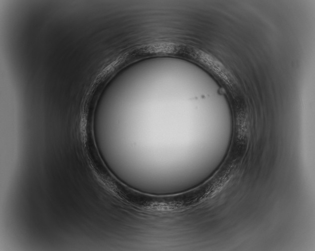 X0000097800538200803201359