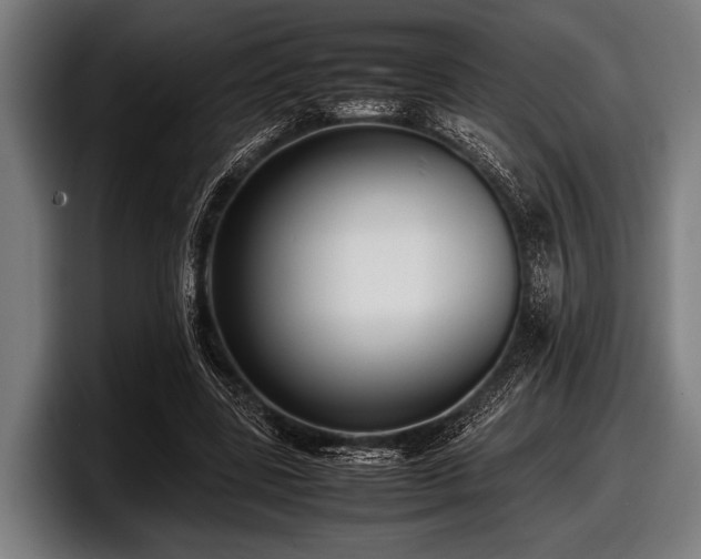 X0000097800539200803201359