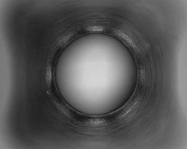 X0000097800541200803201359