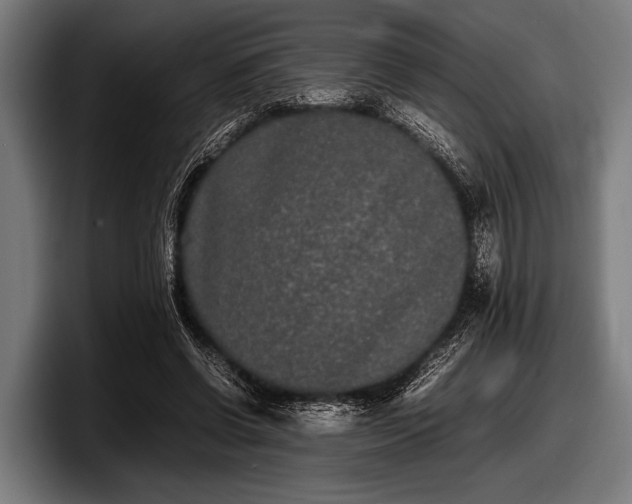 X0000097800542200803201359