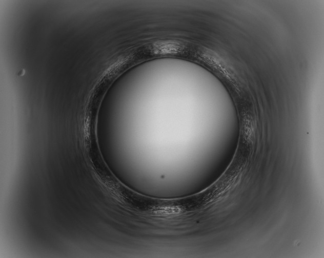 X0000097800543200803201359