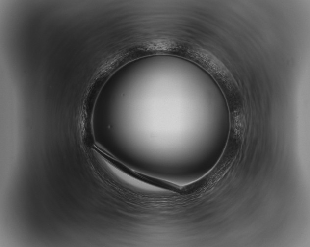 X0000097800544200803201359