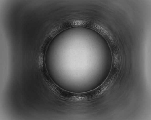 X0000097800545200803201359