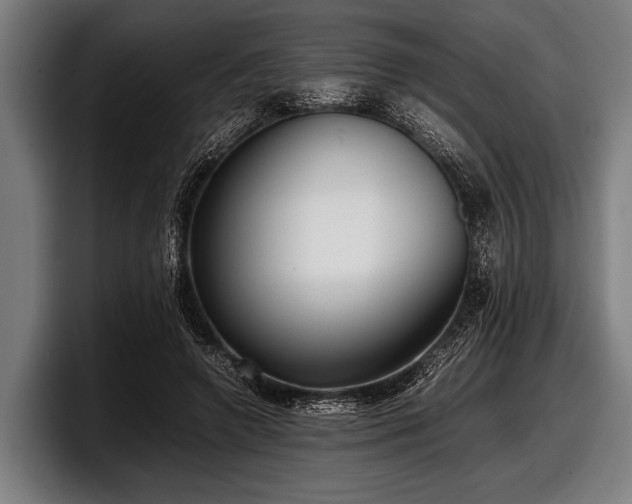 X0000097800546200803201359